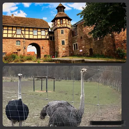 Weserloft Zum Skywalk *