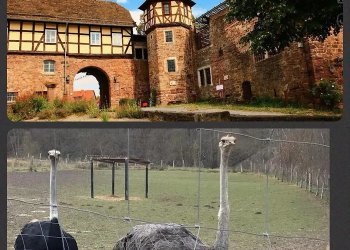 Weserloft Zum Skywalk *